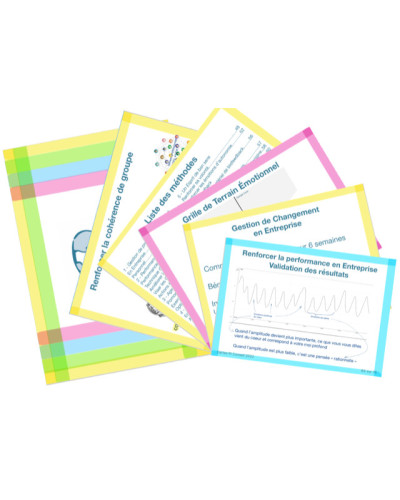 "Jeu de Cartes d’accompagnement" du module Entreprise.